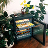 Opened Graphite Rocco fridge in a living room next to plants.